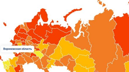 Воронежскую область нанесли на тепловую карту заболеваемости COVID