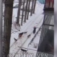 Стая бездомных собак напала на женщину в Центральном районе Воронежа