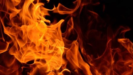 В Воронежской области пожары унесли две жизни за сутки