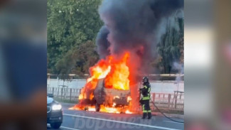 На улице в Воронеже вспыхнул автомобиль