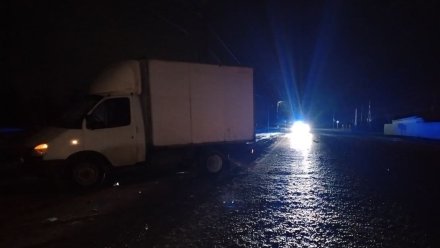 «Газель» насмерть сбила перебегавшую дорогу женщину в Воронежской области