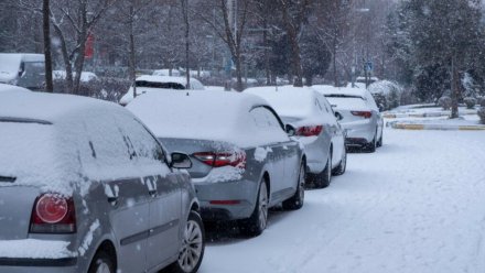 В Воронеже решили перекрывать улицы для расчистки города от снега