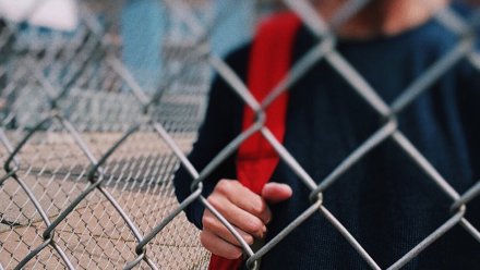 Жителя Воронежской области осудили за вовлечение ребёнка в преступление