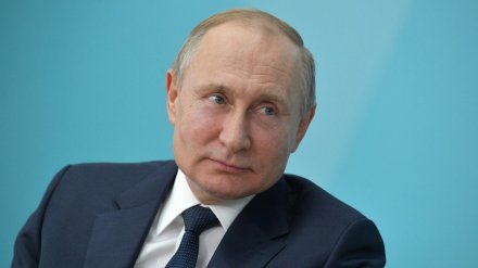 Владимир Путин задумался о возведении в Воронежской области «Великой Русской стены»