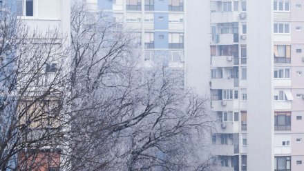 Морозы до -11 градусов вернутся в Воронежскую область