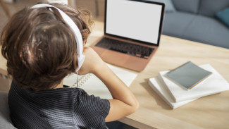 Воронежские школьники смогут сообщить о буллинге через электронный дневник