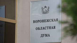 Воронежская облудма приняла бюджет региона на 3 года