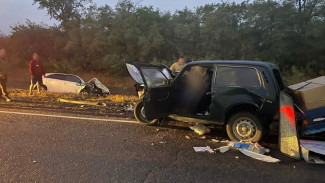В ДТП на воронежской дороге погибли двое пенсионеров