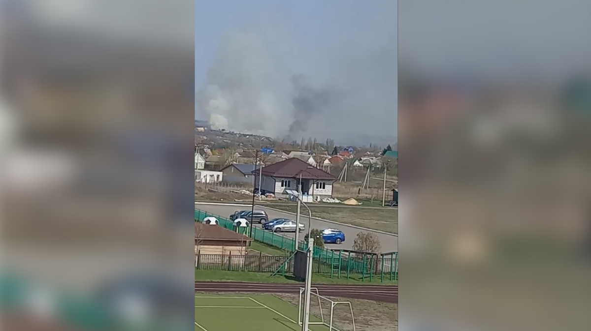 В Бутурлиновке загорелось поле – Новости Воронежа и Воронежской области –  Вести Воронеж