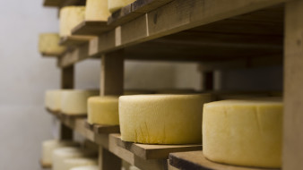 Калачеевский сырзавод заплатил 1,1 млн ветерану боевых действий за рабочую травму