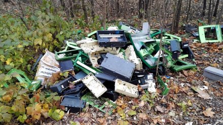 Горожанин нашёл «кладбище» банкоматов в лесу под Воронежем