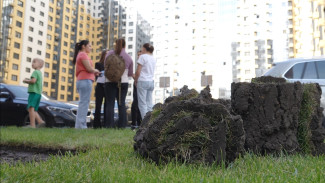 Жильцы воронежской многоэтажки объявили войну владелице будущего салона оптики