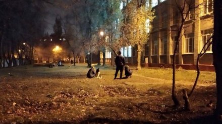 Воронежцы пожаловались на захвативших школьный двор наглых собачников