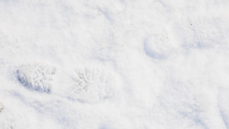 Исчезнувшую пять лет назад жительницу Воронежа признали пропавшей без вести