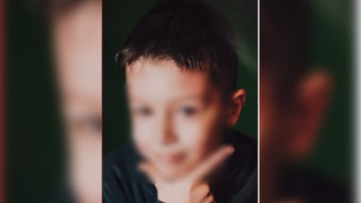 Пропавшего в воронежских «Озерках» 8-летнего мальчика нашли