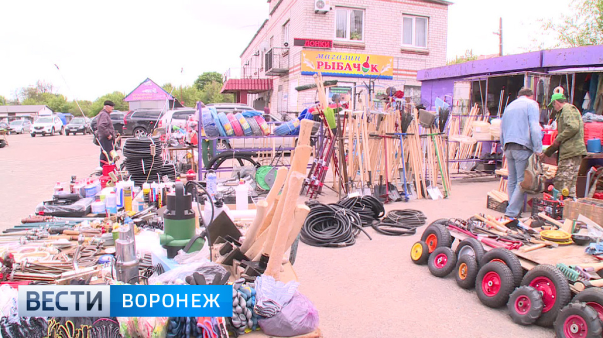 Новости Воронежа и Воронежской области | В Воронеже закрывается птичий рынок  – Вести Воронеж