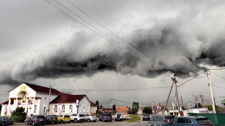 Три района Воронежской области попали в зону особого риска из-за урагана