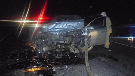 В Воронеже «десятка» влетела под КамАЗ: погиб житель Волгограда