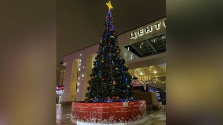 В центре Воронежа установили первую новогоднюю ёлку