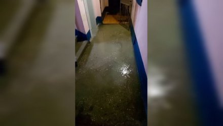 Жильцам воронежской 9-этажки пообещали сделать ремонт после масштабного потопа