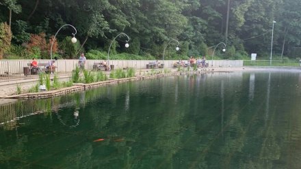 Озеро в Центральном парке очистили от водорослей после жалоб воронежцев