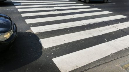 Автомобилистка сбила бабушку с внучкой на пешеходном переходе в центре Воронежа