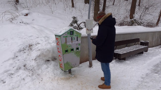 В Воронежском центральном парке заработал аппарат для подкормки уток