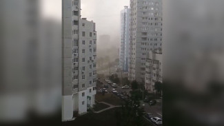 Воронежский микрорайон настигла «пылевая буря»
