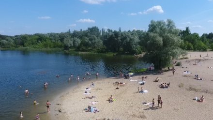 Холероподобные вибрионы выявили на трёх пляжах Воронежской области