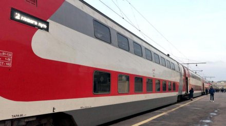 Швырнувшей 10-месячную дочь в поезде матерью из Воронежа займётся детский омбудсмен