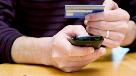 Мошенники за сутки оставили без денег восьмерых жителей Воронежской области