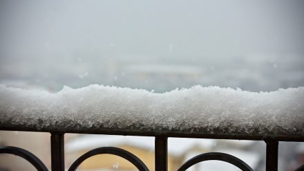 Коммунальщики оправдались за травму заваленной снегом жительницы Воронежа