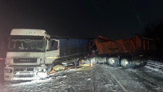 Два КамАЗа столкнулись на трассе в Воронежской области