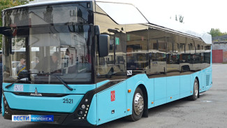 Воронежский водитель рассказал об удобствах в электробусе