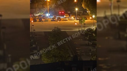 Обломки украинского дрона обнаружили у ресторана в центре Воронежа
