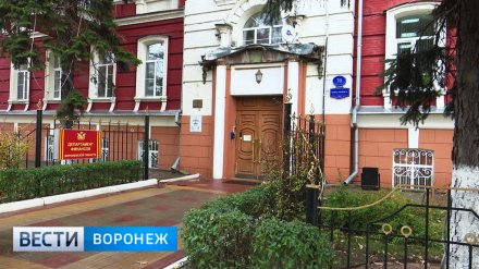В Воронеже не успели вовремя вернуть кружевной навес на дом начала ХХ века
