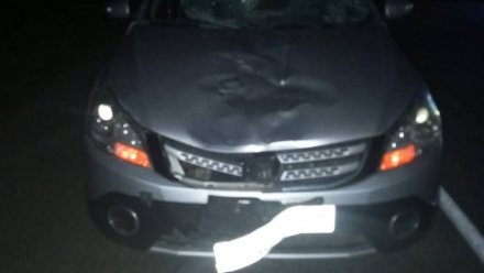 Под Воронежем автомобилистка насмерть сбила пешехода