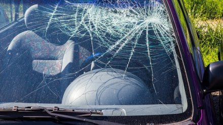 На трассе под Воронежем в ДТП погиб мужчина
