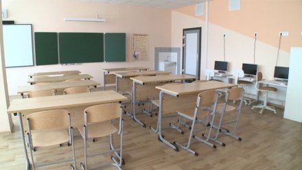 В воронежских школах ушли на карантин 81 класс