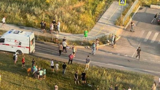 Восьмилетнюю девочку сбили насмерть у «Черёмушек» под Воронежем