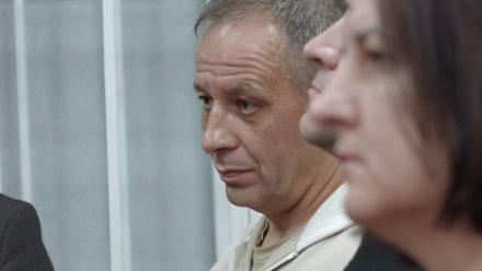 Дело о неуплате налогов главы воронежского «Мотор Ленда» вернулось в облсуд