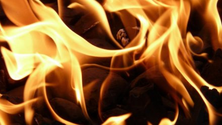 При пожаре в воронежском селе погиб пожилой мужчина