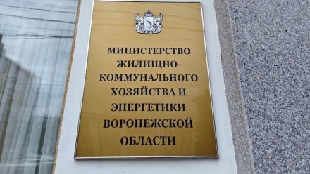 В Воронеже назначили заместителя министра ЖКХ и энергетики