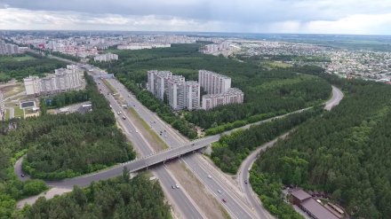 В Воронеже нашли подрядчика, который определит границы «зелёного пояса»