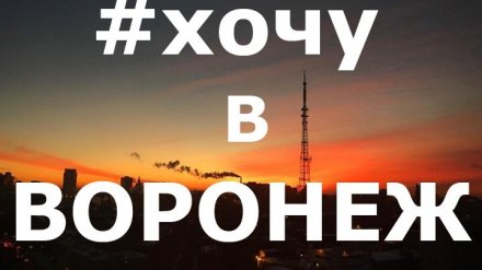 26 лучших фото воронежцев из соцсетей за неделю