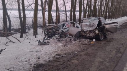 Двое парней попали в больницу после ДТП на воронежской трассе