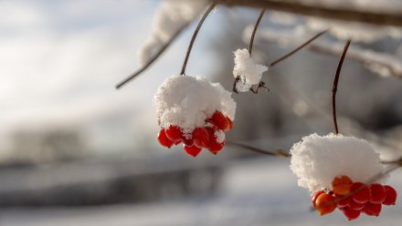 Прогноз погоды на 26.01.2022