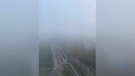 Синоптики рассказали, когда рассеется густой туман в Воронеже