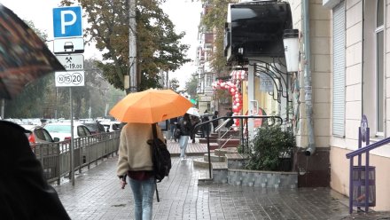 Синоптики рассказали, какие районы Воронежской области залило дождями за сутки