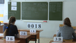 Более 200 человек досрочно сдадут в Воронеже экзамен по математике